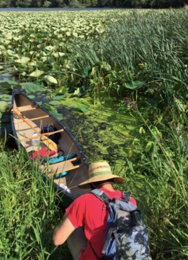 John crouching by a canoe next to a lake filled with plants