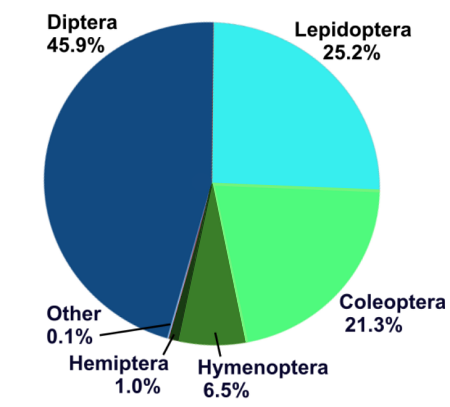 Diptera 45.9%, Lepidoptera 25.2%, Coleoptera 21.3%, Hymenoptera 6.5%, Hemiptera 1.0%, other 0.1%
