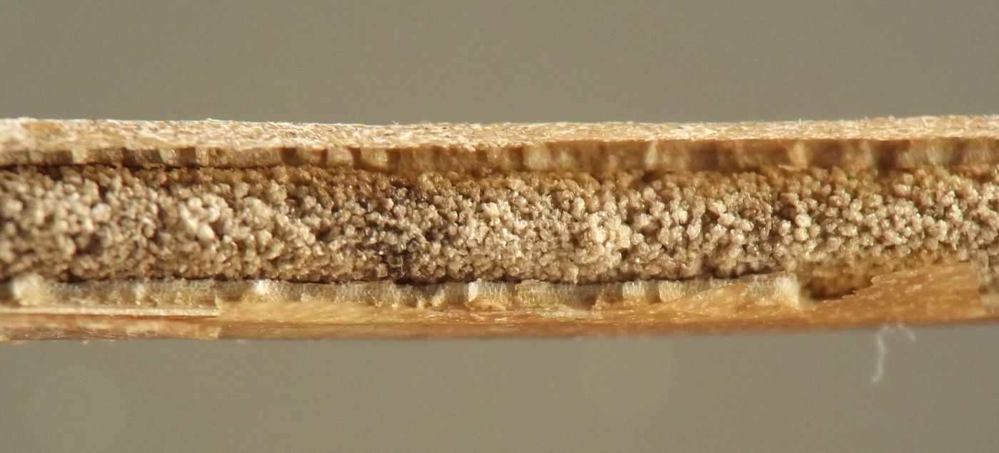 long, narrow stretch of hollow stem is packed full of roundish grains of dry frass
