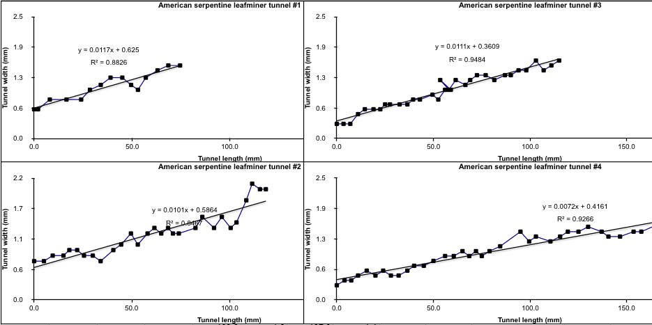 four graphs of rising linear regression lines surrounded by data points that hew fairly tightly to the lines, but with some variation
